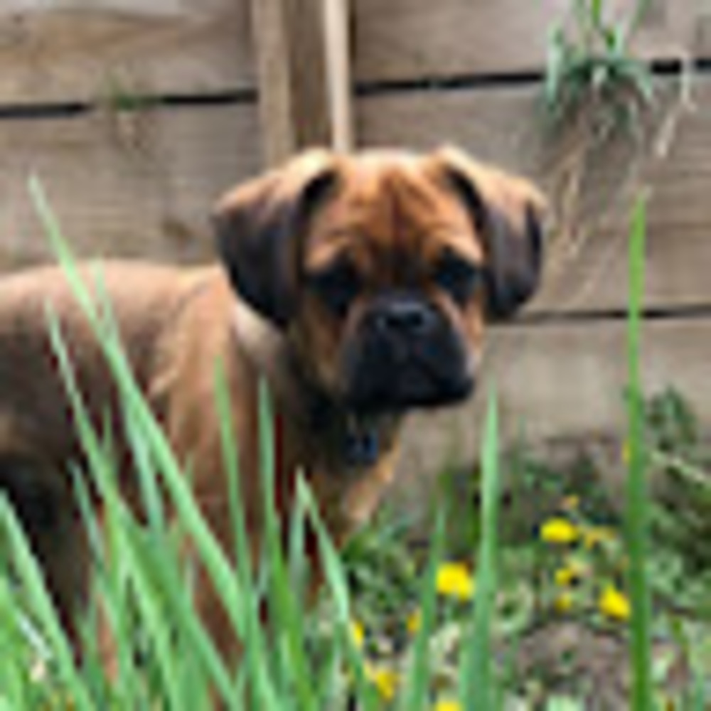 Meet your Posher, Cherie
